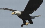 (image for) Bald Eagle 2